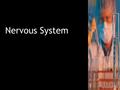 Nervous System. 6/3/2016Nervous System2 Functions Coordinates all of the activities of the body. Enables the body to respond and adapt to changes both.
