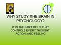WHY STUDY THE BRAIN IN PSYCHOLOGY? IT IS THE PART OF US THAT CONTROLS EVERY THOUGHT, ACTION, AND FEELING.