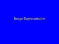 Image Representation. Digital Cameras Scanned Film & Photographs Digitized TV Signals Computer Graphics Radar & Sonar Medical Imaging Devices (X-Ray,