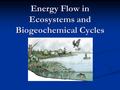 Energy Flow in Ecosystems and Biogeochemical Cycles.
