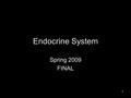 1 Endocrine System Spring 2009 FINAL. 2 Endocrine Glands Pituitary gland Pineal gland Adrenal glands Thyroid gland Parathyroid gland Thymus gland Pancreas.