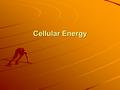 Cellular Energy. Why do Cells need Energy? Move Muscle contraction Reproduction Transport molecules Remove wastes Chemical reactions Energy = the ability.