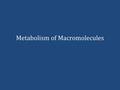 Metabolism of Macromolecules. Metabolism Metabolism = Catabolism + Anabolism Catabolism refers to energy-releasing exergonic reactions that breakdown.