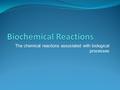 The chemical reactions associated with biological processes.