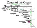 Zones of the Ocean. Below 200 Feet Is Total Darkness.