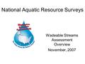 National Aquatic Resource Surveys Wadeable Streams Assessment Overview November, 2007.