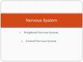 1. Peripheral Nervous System 2. Central Nervous System Nervous System.
