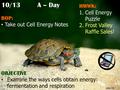 10/13A – Day BOP: Take out Cell Energy Notes HMWK: 1.Cell Energy Puzzle 2.Frost Valley Raffle Sales! OBJECTIVE Examine the ways cells obtain energy: fermentation.