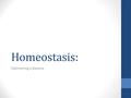 Homeostasis: Maintaining a Balance. Key Words: Maintain – keep up. Constant – the same. Internal – inside the body. Environment – surroundings of the.