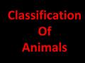 Classification Of Animals Draw a box at the top to keep track of your points. Write the letter of the correct answer. Have your dry-erase boards ready.