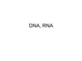 DNA, RNA. Genes A segment of a chromosome that codes for a protein. –Genes are composed of DNA.