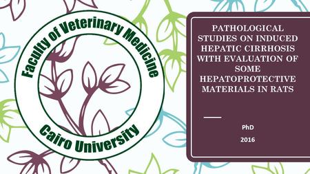 PATHOLOGICAL STUDIES ON INDUCED HEPATIC CIRRHOSIS WITH EVALUATION OF SOME HEPATOPROTECTIVE MATERIALS IN RATS PhD 2016.