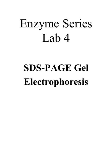 Enzyme Series Lab 4 SDS-PAGE Gel Electrophoresis.