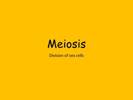 Meiosis Division of sex cells 1. Meiosis Vocabulary Diploid = a cell containing TWO sets of chromosomes One set inherited from each parent 2n (number.