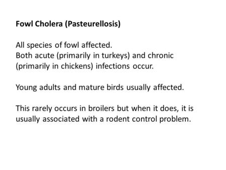 Fowl Cholera (Pasteurellosis) All species of fowl affected. Both acute (primarily in turkeys) and chronic (primarily in chickens) infections occur. Young.