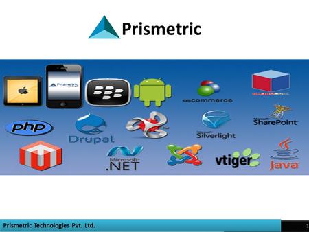 1 1 Prismetric Technologies Pvt. Ltd. Prismetric.