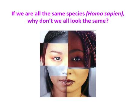 If we are all the same species (Homo sapien), why don’t we all look the same?
