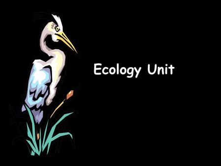 Ecology Unit. What is ecology? Ecology- the scientific study of interactions between organisms and their environments, focusing on energy transfer It.