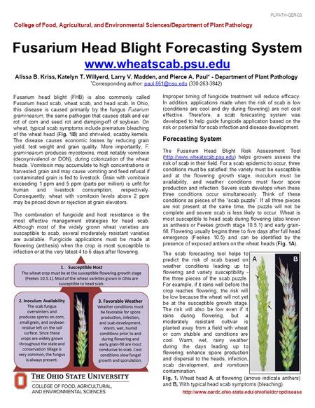 Fusarium head blight (FHB) is also commonly called Fusarium head scab, wheat scab, and head scab. In Ohio, this disease is caused primarily by the fungus.