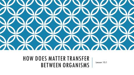 HOW DOES MATTER TRANSFER BETWEEN ORGANISMS Lesson 10.1.