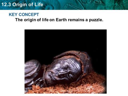 12.3 Origin of Life KEY CONCEPT The origin of life on Earth remains a puzzle.