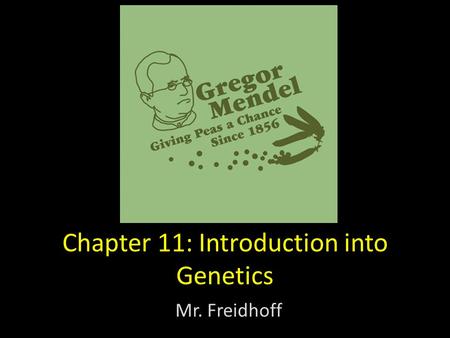 Chapter 11: Introduction into Genetics Mr. Freidhoff.