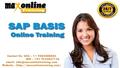 SAP BASIS ONLINE TRAINING Online | Corporate Training | certifications | placements| CONTACT US Call: USA : +1 9404408084 IND : +91 9533837156 E Mail: