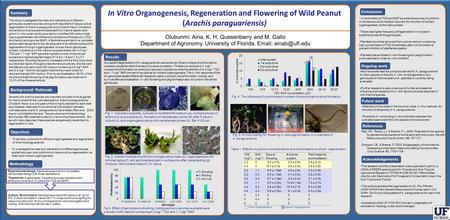 Successful regeneration of A. paraguariensis was achieved. Direct multiple shoot formed on cotyledon explants within five days of culture incubation. Thidiazuron.