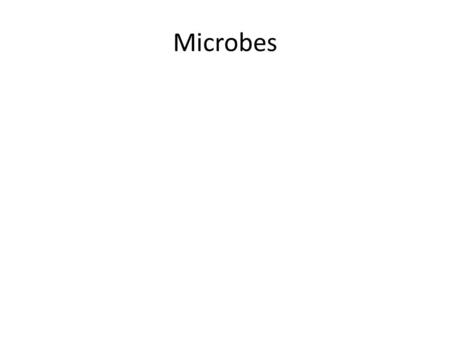 Microbes. Figure 6.8 Characteristics of bacterial colonies-overview.