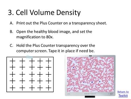 3. Cell Volume Density A.Print out the Plus Counter on a transparency sheet. B.Open the healthy blood image, and set the magnification to 80x. C.Hold the.