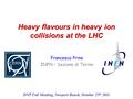 Francesco Prino INFN – Sezione di Torino DNP Fall Meeting, Newport Beach, October 25 th 2011 Heavy flavours in heavy ion collisions at the LHC.