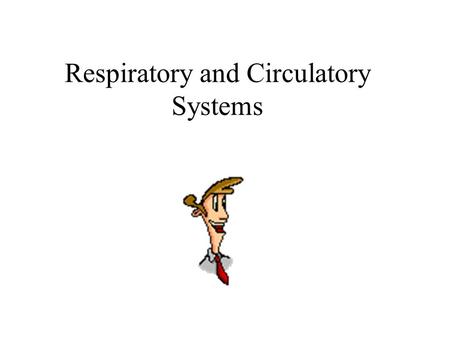 Respiratory and Circulatory Systems. Other Animal’s Respiration: Sponge, hydra, planaria – diffusion from water Earthworm – skin Insect – spiracles and.