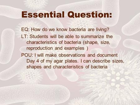 Essential Question: EQ: How do we know bacteria are living? LT: Students will be able to summarize the characteristics of bacteria (shape, size, reproduction.