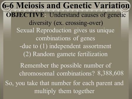 6-6 Meiosis and Genetic Variation Sexual Reproduction gives us unique combinations of genes Remember the possible number of chromosomal combinations? -due.