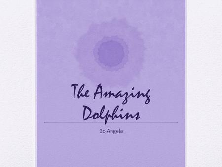 The Amazing Dolphins Bo Angela. Introduction I am a dolphin. I swim in the warm ocean sea. I swim and I swim. I swim into a rock but bump into a rock.