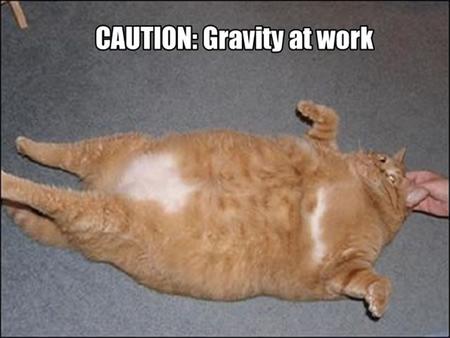 What is Gravity? Write down anything you may know about gravity. Any examples of gravity Where you may find it or not find it!