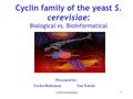 Cyclins Presentation1 Cyclin family of the yeast S. cerevisiae: Biological vs. Bioinformatical Presented by: Tzvika HoltzmanYan Tsitrin.