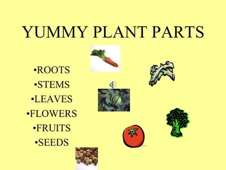 YUMMY PLANT PARTS ROOTS STEMS LEAVES FLOWERS FRUITS SEEDS.