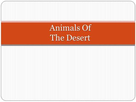Animals Of The Desert Amphibians Of The Desert Couch’s Spadefoot Couch’s Spadefoot Sonoran Desert Toad Sonoran Desert Toad Sonoran Green Toad Sonoran.
