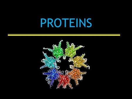 PROTEINS. Introduction Greek “proteois” : primary Most diverse of all macromolecules Most can be made in the body Essential Amino Acids: body cannot synthesize.