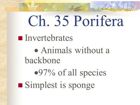 Ch. 35 Porifera Invertebrates  Animals without a backbone  97% of all species Simplest is sponge.