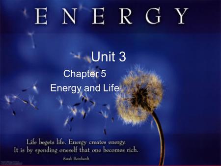 Unit 3 Chapter 5 Energy and Life. Essential Questions 1. What is a catalyst and how is it important to living things? 2. What is the lock-and-key model?