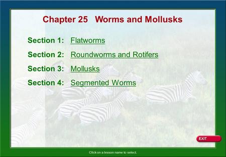 Click on a lesson name to select. Chapter 25 Worms and Mollusks Section 1: Flatworms Section 2: Roundworms and Rotifers Section 3: Mollusks Section 4: