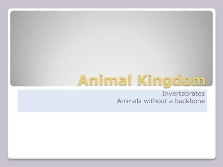 Animal Kingdom Invertebrates Animals without a backbone.