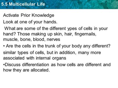5.5 Multicellular Life Activate Prior Knowledge Look at one of your hands. What are some of the different ypes of cells in your hand? Those making up skin,