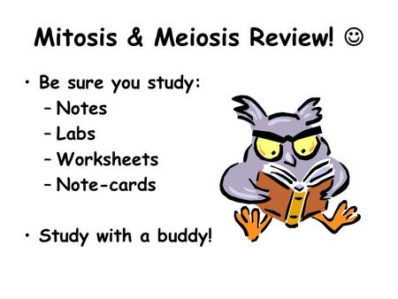 Mitosis & Meiosis Review! Be sure you study: –Notes –Labs –Worksheets –Note-cards Study with a buddy!