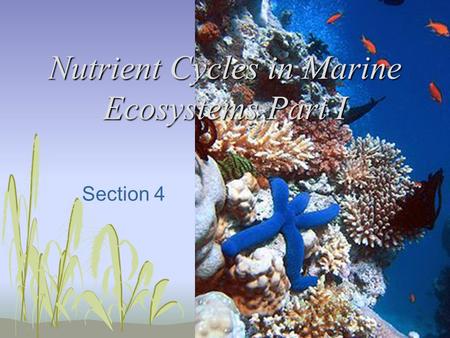 Nutrient Cycles in Marine Ecosystems Part I Section 4.