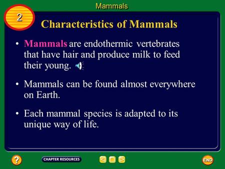 Characteristics of Mammals Mammals are endothermic vertebrates that have hair and produce milk to feed their young. Mammals can be found almost everywhere.
