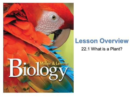 Lesson Overview Lesson Overview What is a Plant? Lesson Overview Lesson Overview What is a Plant? Lesson Overview 22.1 What is a Plant?
