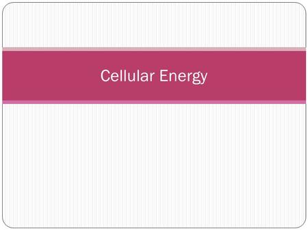Cellular Energy. What is the difference between carbohydrates, lipids and proteins? Biological Molecules FunctionsExamples CARBOHYDRATES -Store energy.
